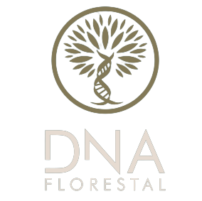 DNA 3 Card Logo